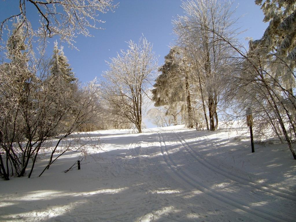 Heidehotel Hildfeld Winterberg Bagian luar foto
